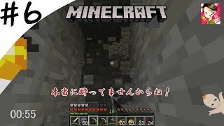 【マインクラフト】ハイテンション #6