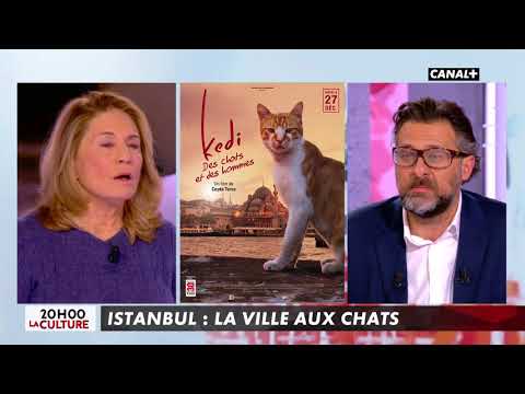 Avec Reha Hutin - L’info du Vrai du 20/12 – CANAL+