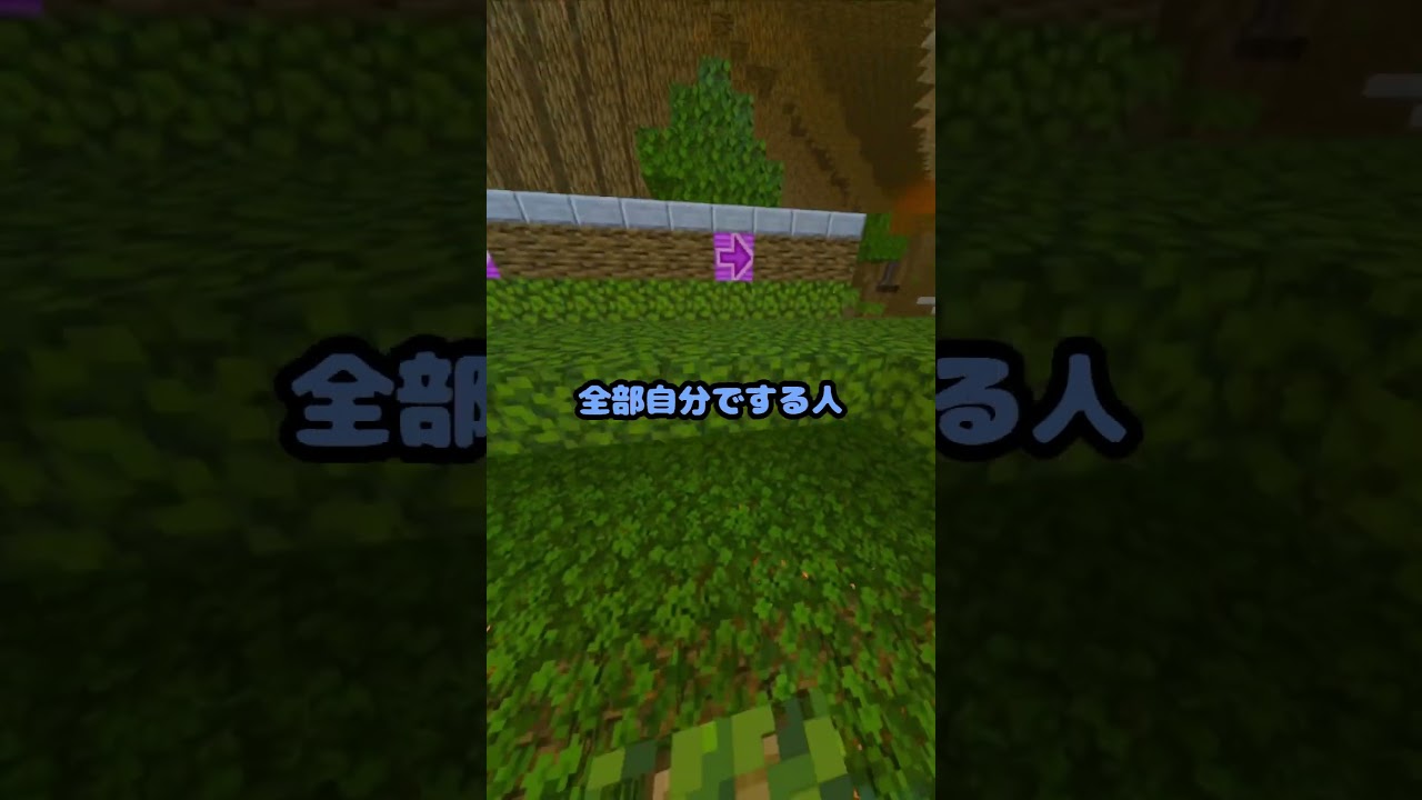 【#マインクラフト】10個以上でサイコパス【#shorts 】