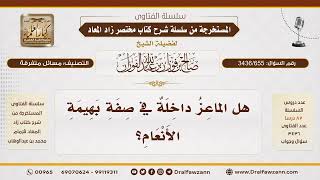 [3436/655] هل الماعز تُعد من بهيمة الأنعام؟