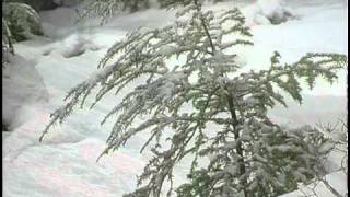 Kitaro - O Holy Night