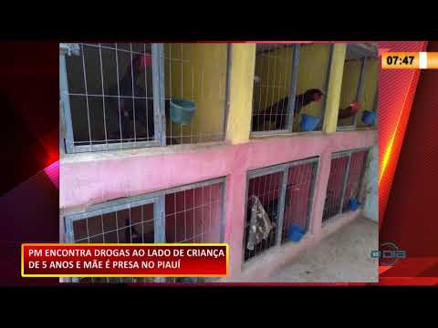 Em operação, polícia encontra dinheiro, arma, drogas e galos de briga em residência 11 11 2020