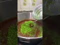 Super Fast Samosa Factory Of Surat Shorts Indian Street Food