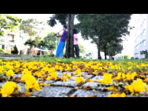Thể hiện bởi Liên Tịnh