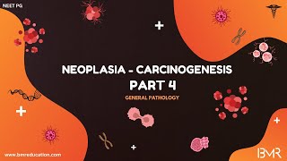Neoplasia Part 4 | Carcinogenesis | General Pathology 2025