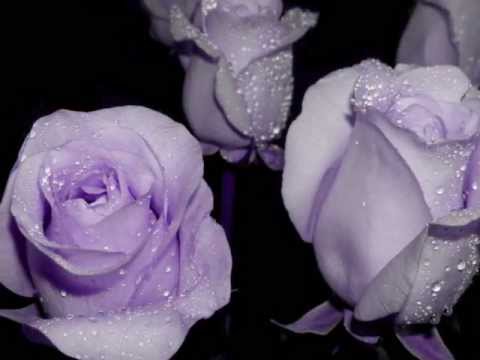 Luiza Possi - DIAS IGUAIS