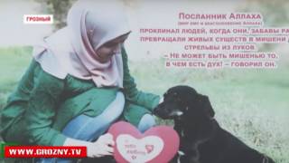 В приюте для животных "Надежда на жизнь" в Грозном прошла благотворительная акция