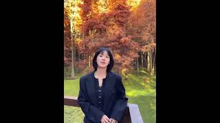 后悔没早点来看青山湖水上森林的抹茶红丝绒\#旅行大玩家 #旅行vlog #杭州周边游 #水上森林 #旅行推荐官