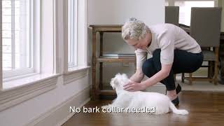 PetSafe Control Your Dog's Barking Easily with PetSafe