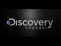 Discovery logo Animation