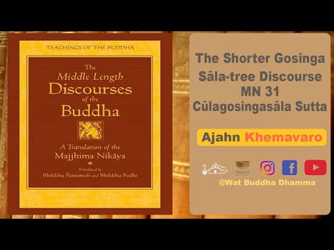 Ajahn Khemavaro | Cūḷagosiṅgasāla Sutta  (MN 31) | The Shorter Gosiṅga Sāla-tree Discourse