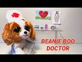 Beanie Boo Hospital Skit