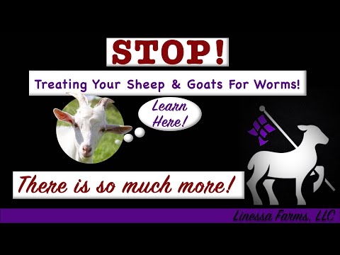 Stop Worming Your Sheep and Goats!  Start Treating Sheep and Goats for Parasites!