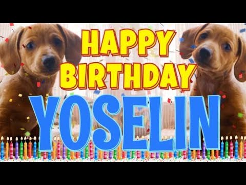 Happy Birthday Yoselin! ( Funny Talking Dogs ) What Is Free On My Birthday