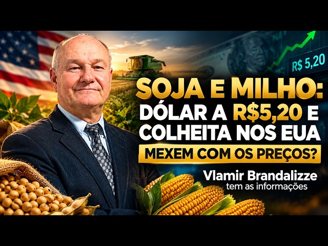 Soja e Milho: Dólar a R$5,20 e Colheita nos EUA Mexem com os Preços?
