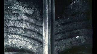 Chevy  - Cold And Lonely