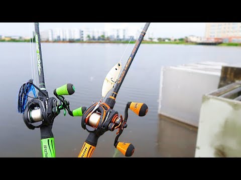 Catching GIANT Bass on BIG Swimbaits and Jigs (Bank Fishing) Video