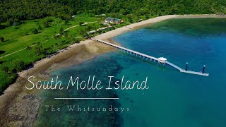 South Molle Island  The Whitsundays  Queensland  D