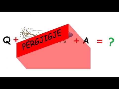 LOJË LOGJIKE DHE ARGËTUESE PËR FËMIJË   " GJEJE FJALËN "