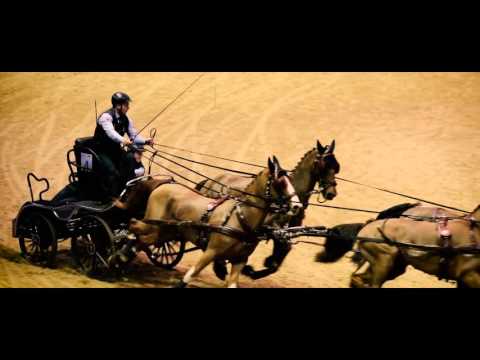 Olympia, The London International Horse Show 2015