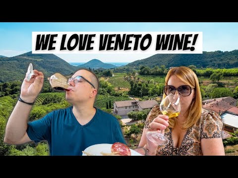 We Found The Best Day Trip From Venice Italy! - Wine Tasting in the Veneto Hills