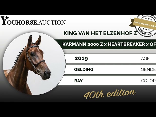 King van het Elzenhof Z