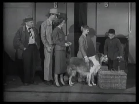 Lassie - Episode 49 - "The Visitor" - Season 2, #23 (02/12/56)