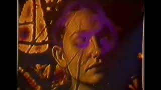 Play Dead - Shine