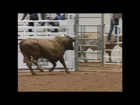 Hedge Hog bucks Clint Branger - 95 PBR Charlotte