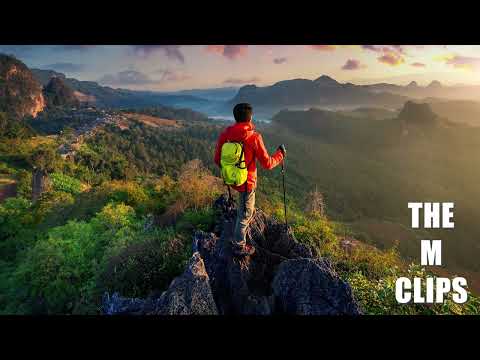 About Me - Koven x ROY KNOX (THE M CLIPS)