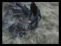 Rob Nievaoz - Witches Dance (cover) At Vance