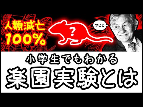 ロボプテラについて詳しく解説