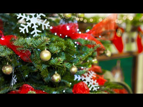 Vianočná akadémia // ZŠ Komenského // Sabinov // 2025