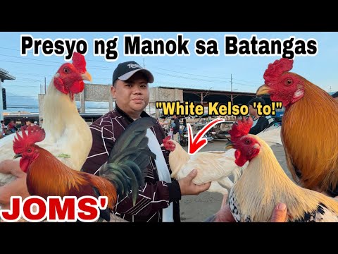 March 03, 2026 - Bentahan ng manok sa Padre Garcia Batangas Livestock Auction Market