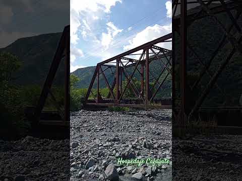 Río Blanco Campo Quijano Salta #argentina #vacation #travel #shortsvideo