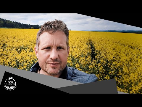 Rapsblüte in voller Pracht | Raps | Farmfluencer