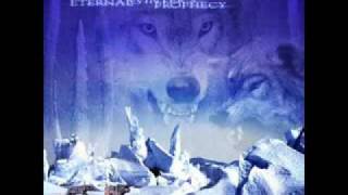 Catamenia Forever Night