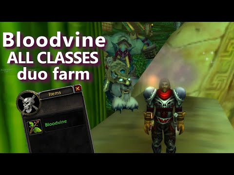 Bloodvine ALL CLASSES Duo Farm - ZG WoW Classic Phase 4