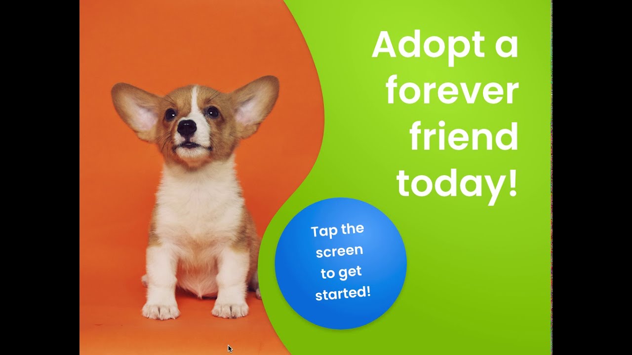 Pet Adoption App Walkthrough