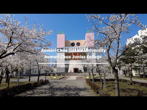 看護学科 2022年：青森中央学院大学・青森中央短期大学キャンパスの桜