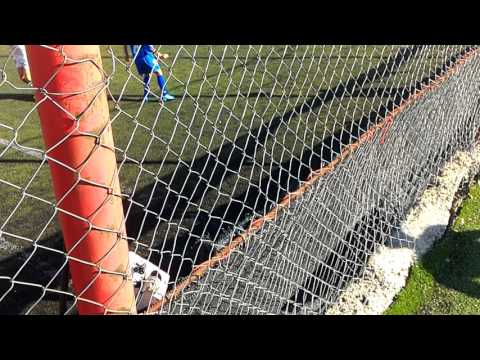 LPS CLUJ-TRANSILVANIA FLORESTI JUNIORI D(3)