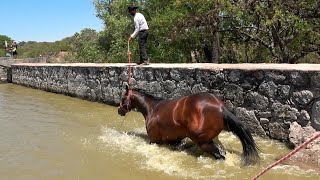 Entrenamiento en la PRESA - ALMA Coronel