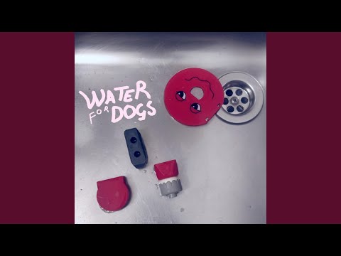 1 Kesäkuuta - Water For Dogs