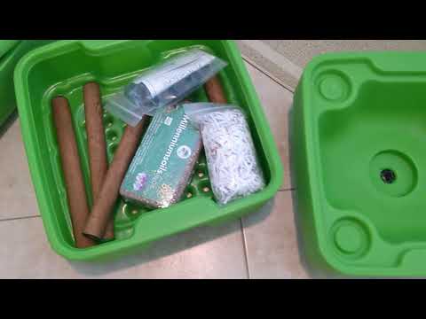 Hot Frog Living Composter Day 1 - Setting It Up - Vermicomposting