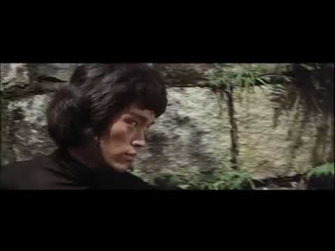 L'ULTIMA SFIDA DI BRUCE LEE - SONO JACK LO SQUARTATORE