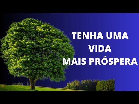 10 Conselhos presentes na Bíblia para ter uma vida mais próspera