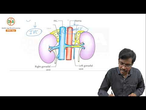 Adrenal Gland ( Endocrine) For NEET-PG & NEET-SS By Dr. Akhil Krishna