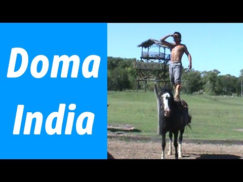 , title : 'Demostración Doma India, Destreza del indio criollo educando al caballo Argentino.'