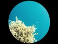 Sigrid - Sucker Punch (Four Tet Remix) [Babsy Edit]