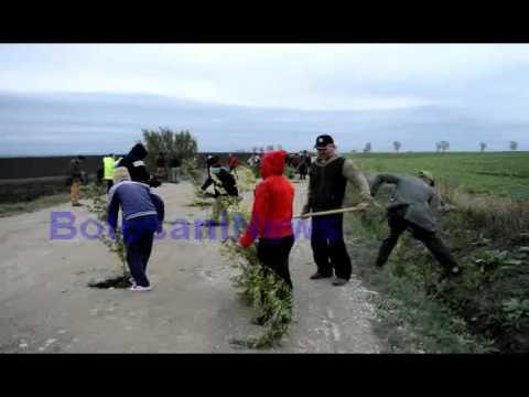 Botosaninews Protest plantat salcami pe drum la Dangeni